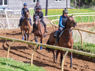 EL160424-24 - Emma Lavelle stable visit